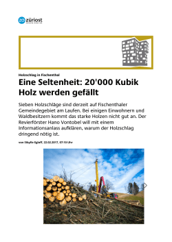 20170222 Züriost Holzschlag in Fischenthal