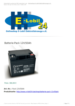 Batterie-Pack 12V/50Ah - E-Lobil Elektrofahrzeuge eK