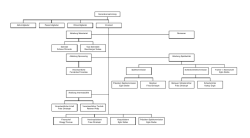 Organigramm