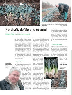 Herzhaft, deftig und gesund
