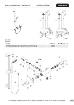 Brausekombination mit CeraTherm 60 A6649AA