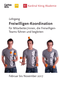 Folder LG Freiwilligen-Koordination 2017