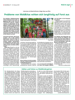 Probleme von Waldkitas wirken sich langfristig auf Forst aus