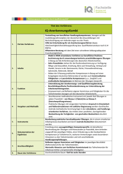 IQ-AnerkennungsKombi