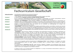 Fachcurriculum - STS Bergstedt