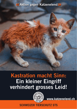 - Schweizer Tierschutz STS