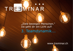3. Teamdynamik