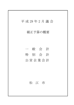 平成 29 年 2 月議会 松 江 市 一 般 会 計 特 別 会 計 補正予算の概要
