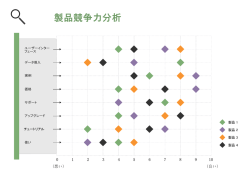 製品競争力分析