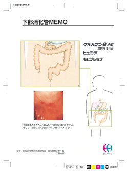 下部消化管MEMO