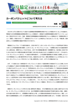 記事全文（PDF） - 国際環境経済研究所