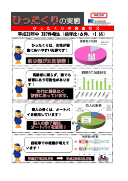 平成28年中 387件発生（前年比+6件、+1.6%）