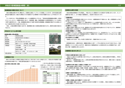 （素案）概要版 [PDFファイル／371KB]