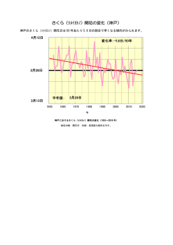 さくら（ｿﾒｲﾖｼﾉ）開花の変化（神戸）