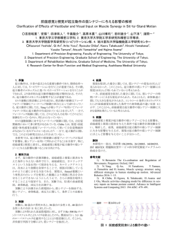 前庭感覚と視覚が起立動作の筋シナジーに与える影響の解析