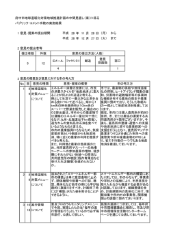 パブリック・コメント手続実施結果（PDF：233KB）