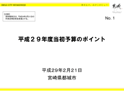 平成29年度当初予算のポイント