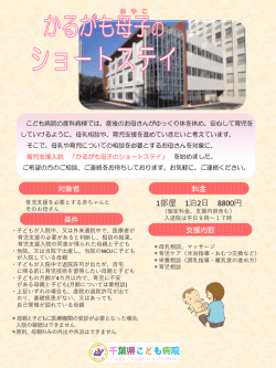 案内リーフレット（PDF：518KB）
