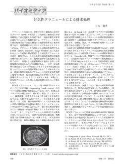 好気性グラニュールによる排水処理