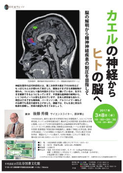 カエル の神経 ヒト の脳 - 千代田区立日比谷図書文化館