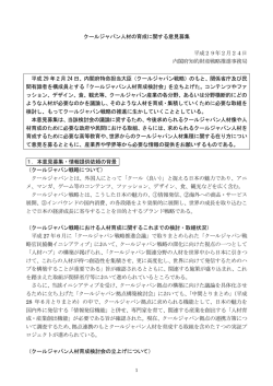 クールジャパン人材の育成に関する意見募集 平成29年2月24日 内閣府