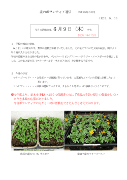 花のボランティア通信 平成23年6月号