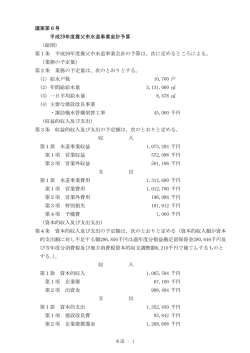 議案第6号 平成29年度水道事業会計予算 (pdfファイル 191KB)