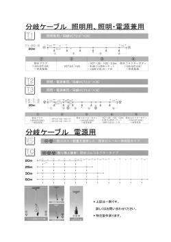 分岐ケーブル 照明用/照明・電源兼用 分岐ケーブル 電源用