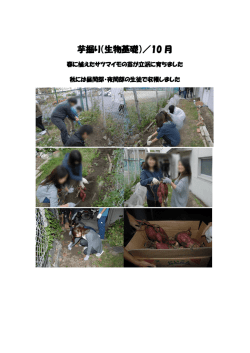 特色ある教育活動1