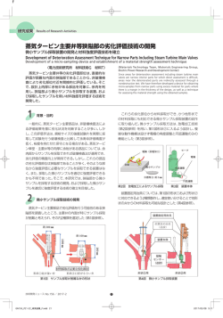 蒸気タービン主要弁等狭隘部の劣化評価技術の開発[PDF：2167KB]