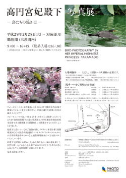 資料（PDF）