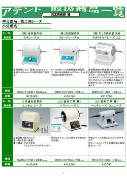 中分類名： 小分類名： 技工用レーズ