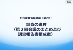 調査の進捗 （第2回会議のまとめ及び 調査報告書構成案）