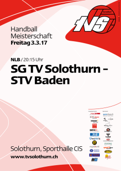 Handball Meisterschaft