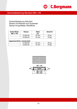 Schachtabdeckung Standard Deckel und Rahmen - C