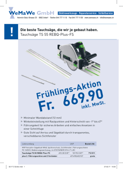 FESTOOL Tauchs&auml;ge