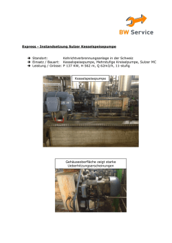 Instandsetzung Hochdruckpumpe
