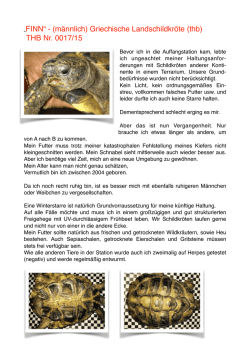 Finn - Landschildkröten Stuttgart