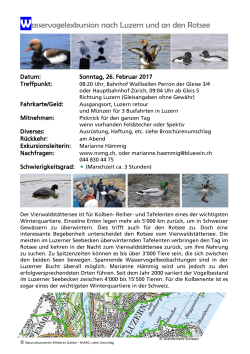 Wasservogelexkursion nach Luzern und an den Rotsee
