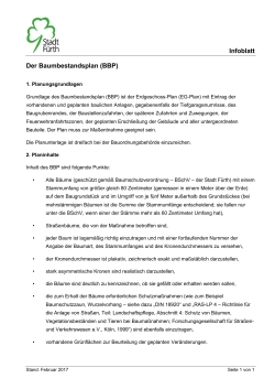 Infoblatt Der Baumbestandsplan (BBP)