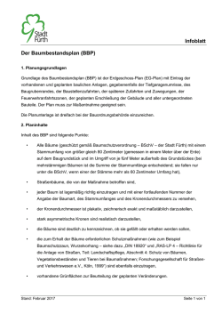 Infoblatt Der Baumbestandsplan (BBP)