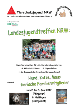 Infoflyer Landesjugendtreffen 2017
