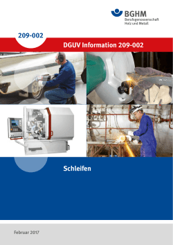 DGUV Information 209-002 "Schleifer"