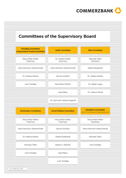 Committees of the Supervisory Board