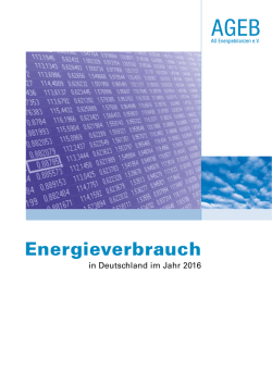 Energieverbrauch in Deutschland im Jahr 2016