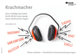Lärm schädigt das Gehör. Ab 85 dB (A) immer geeig neten