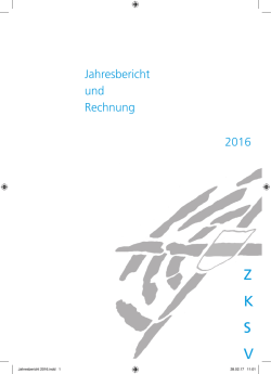 Jahresbericht 2016