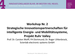 PDF Workshop 2 - Metropole Ruhr