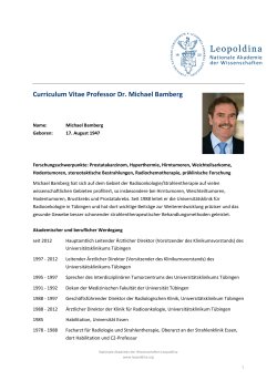 CV Michael Bamberg - PDF
