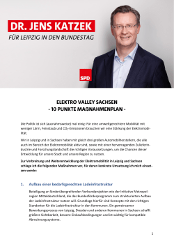 Elektro Valley Sachsen - 10 Punkte Maßnahmenplan